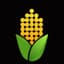 Corn Mainnet