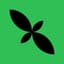 Mint Mainnet